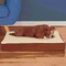 Pet Adobe Memory Orthopedic Foam Dog Bed- Sherpa Top and Removable Cover- 30x20.5x4, Brown 570736QWY - alternate 6